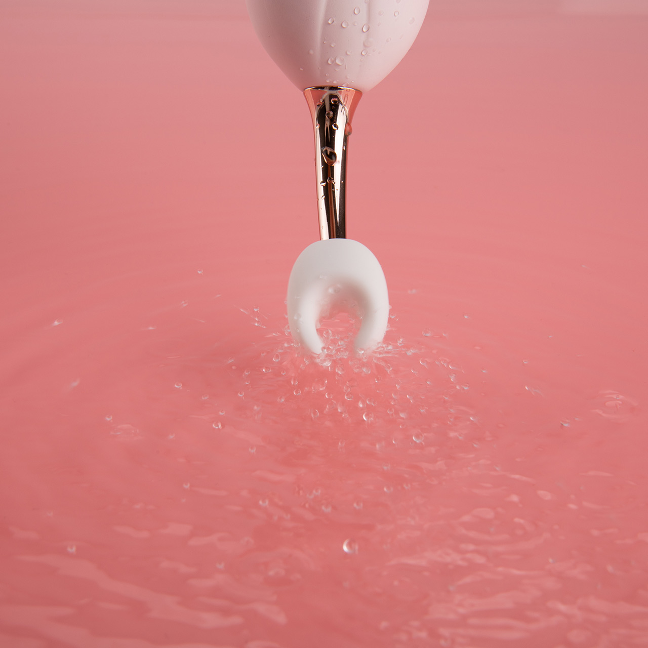 BLOOM - Image 8