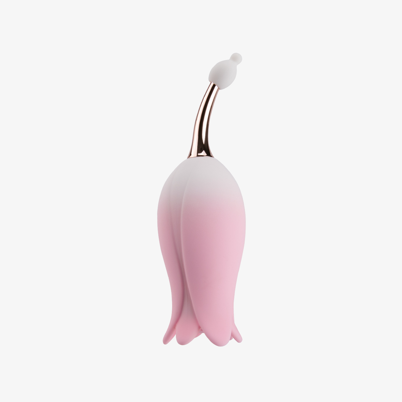 BLOOM - Image 5