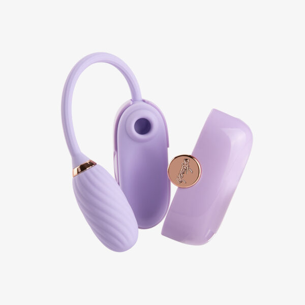 LOUIS VIBRATOR - Image 4