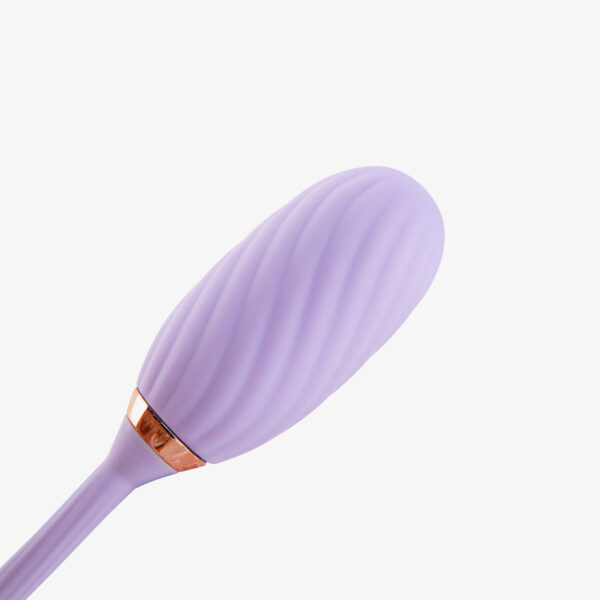 LOUIS VIBRATOR - Image 7