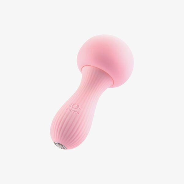 MUSHROOM - Image 3