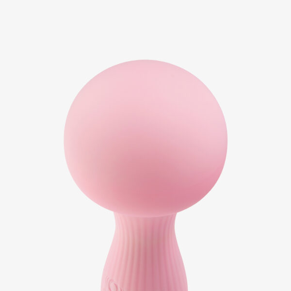 MUSHROOM - Image 5