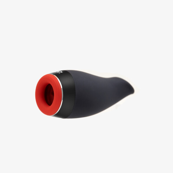 PLEASURE ENGINE - Image 2